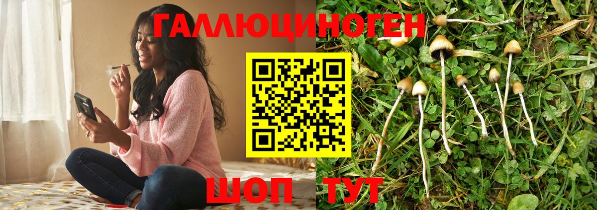 Псилоцибиновые грибы GOLDEN TEACHER Печора